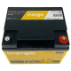 Akumulator AGM 12V 45Ah INERGE